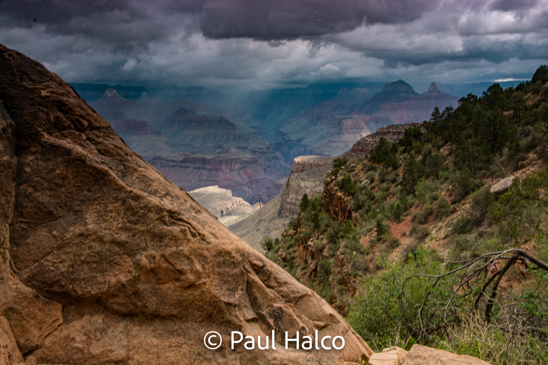 Paul Halco - Grand Canyon NP-10